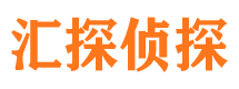 雁塔市调查公司